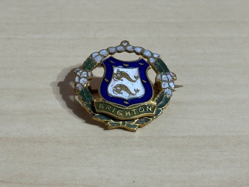 Vintage brighton enamel - vintage,