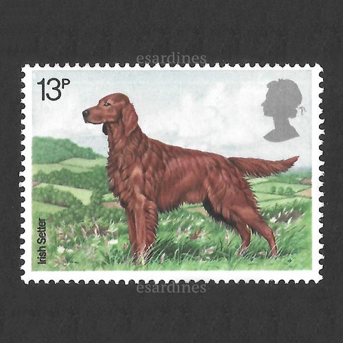 Animals dogs 1979 - :, qeii