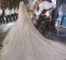 Ivory Veil 3 Meters Long Sparkly Glitzy Long Veil For Wedding
