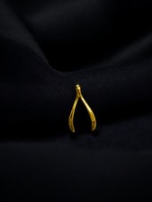 Conan Gray Wishbone Stainless Steel Pendant Necklace Link Chain Silver or Gold