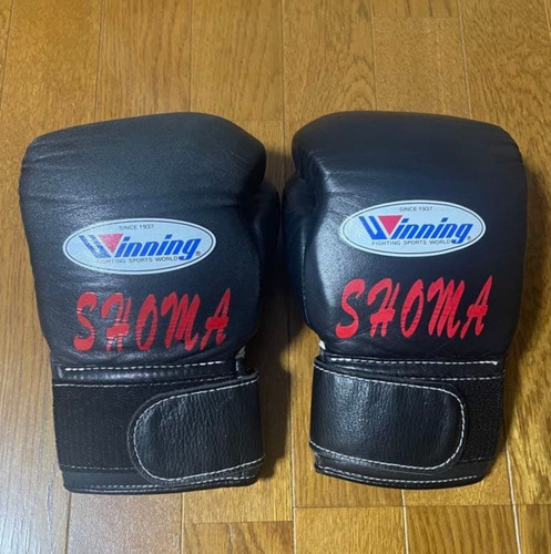 Winning boxing gloves - gloves, 8oz