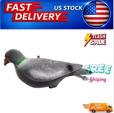 5Pcs/2Pcs Set Whole Pigeon