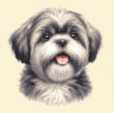 SHIH TZU dog, puppy ~ Full
