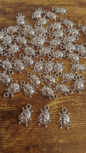 Tibetan silver lady bug - 50,