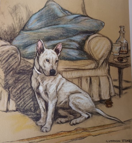 Vintage bull terrier dog by - vintage,