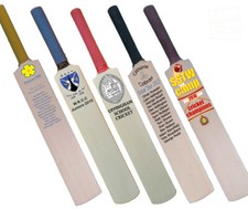 Personalised Cricket Bat Mini Miniature, Trophy, Six Handle Colours, getpaddedup