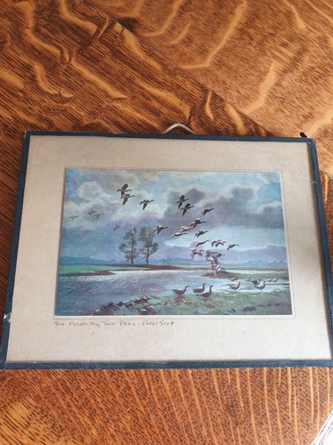 Small vintage framed - vintage, print