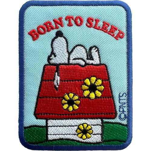 Snoopy sleeping dog house - sleeping,