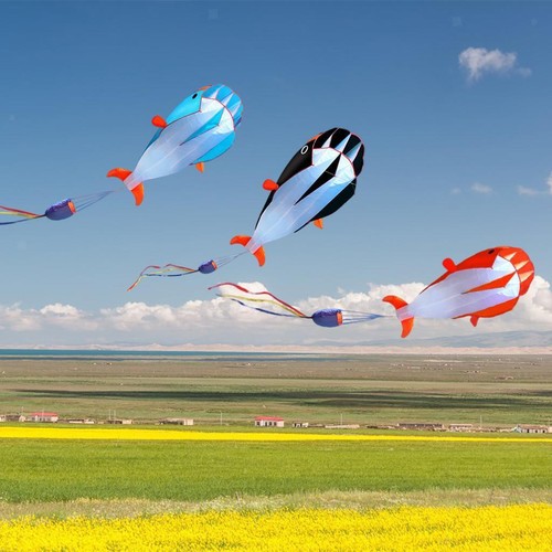 Dolphin kite frameless soft - kite,