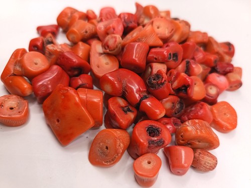 Genuine red coral - bead, natural