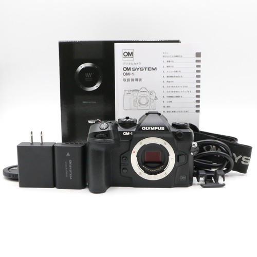 System 1 mirrorless - om, om-1
