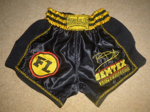 Fightlab muay thai - thai, mma