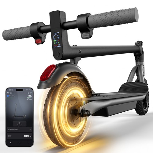 2026 adult electric - 2026,