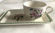 Portmeirion Botanic Garden