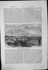 Antique Old Print Coast Near Illawara New South Wales Australia Sea Sky Birds