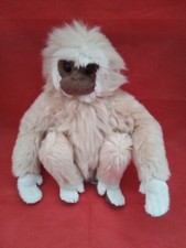 Nature Planet Gibbon Monkey