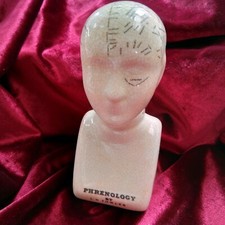 Small 7" Phrenology Head