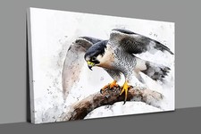 Majestic peregrine falcon watercolour Canvas Print  Wall Art