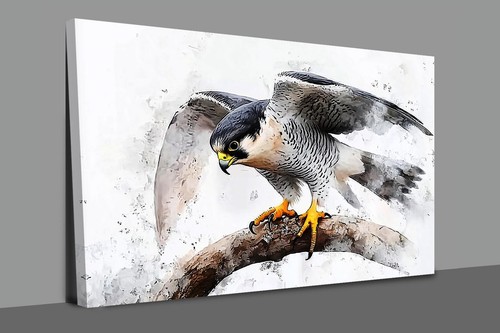 Majestic peregrine falcon