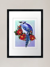Blue Jay Bird Framed Art Print