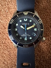 CITIZEN E Promaster Eco-Drive