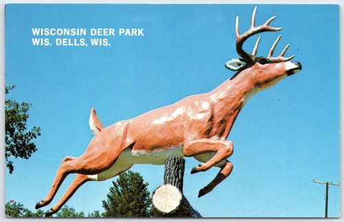 Postcard wisconsin dells - wi,