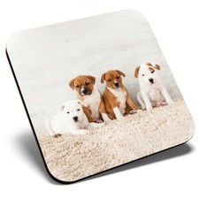 Square Single Coaster - Cute