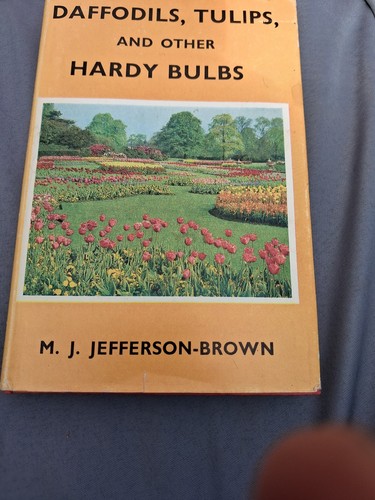 Daffodils tulips and other - and,