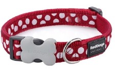 RED DINGO SPOT COLLAR & LEADS