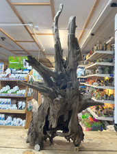 Large corbo root aquarium - corbo,