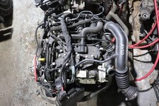 Fiesta mk8 duratec - duratec, petrol