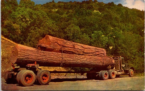 Logging truck northwest - logging,