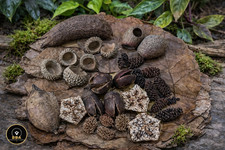 Med Pod Box for Shrimp Fish