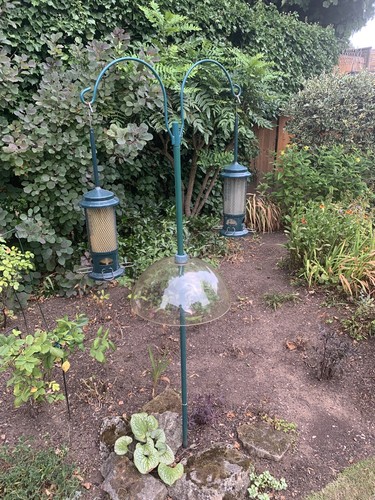 Two squirrel buster - two,