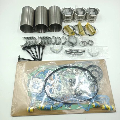 Overhaul rebuild kit for - rebuild,