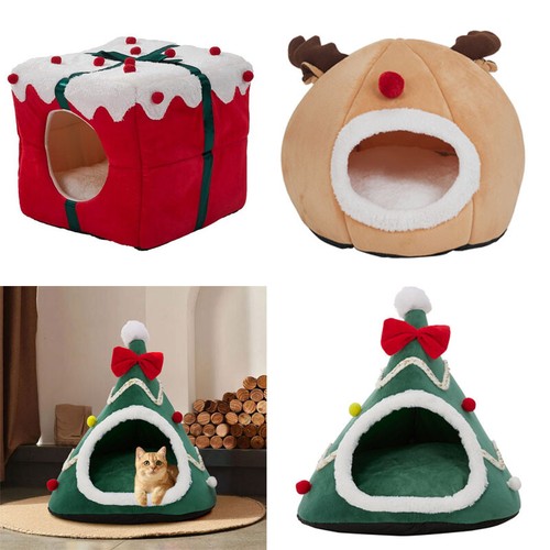 Pet cute cat christmas tree - cute,