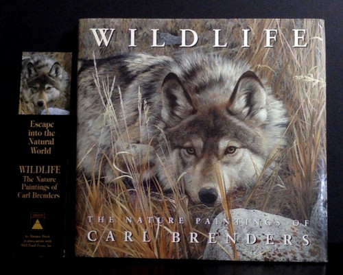 Wildlife the nature paintings - the,