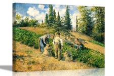 The Harvest by Camille
