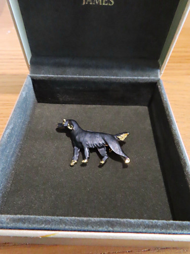 Vintage gordon setter dog - gordon,