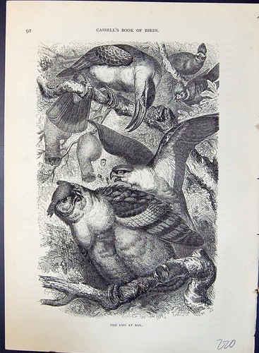 Original old antique - old, print