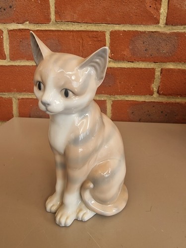 Cat very good finish - cat,