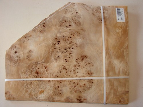 Poplar mapa burl burr - burl, veneer