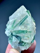 Tourmaline Crystal Bunch