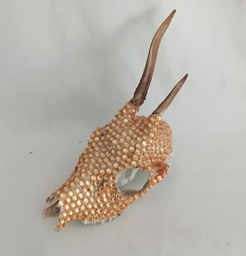 Hand decorated gold orange - , gem