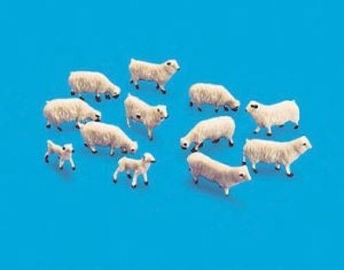 Sheep ewes lambs - &,