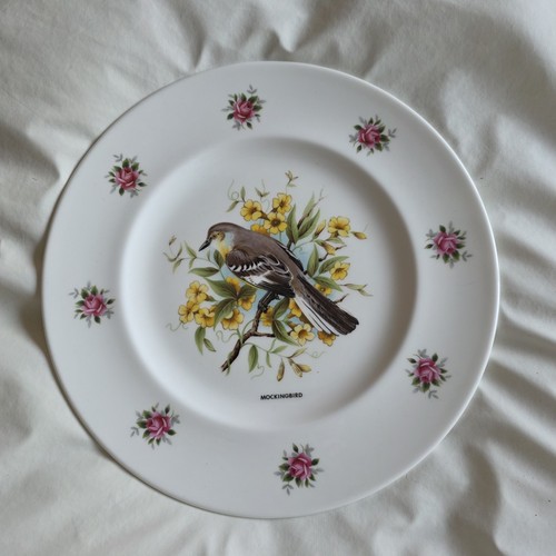 Bone china decorative plate - plate,
