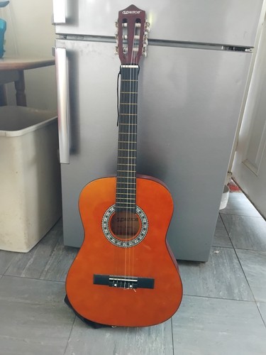 Elevation acoustic guitar - elevation,
