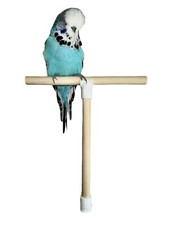 Shape bird perch stand - t,