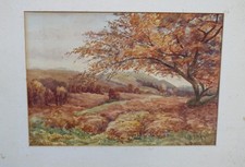 Antique watercolour - William