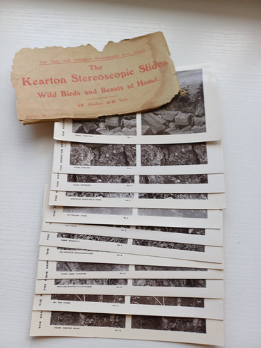 Antique kearton stereoscopic - antique,